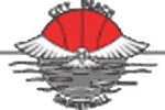 Perth Digital Edge client logo
